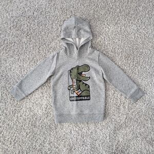 Baby boys hoodie Dinosaur sweatshirt